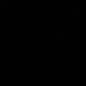 Meet your Posher, Bella